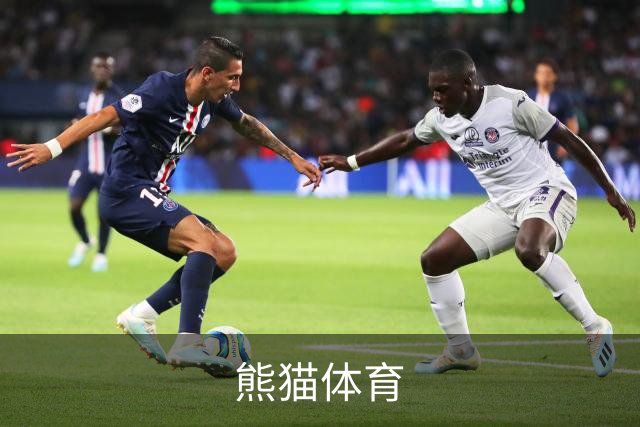 熊猫体育公司简介图片